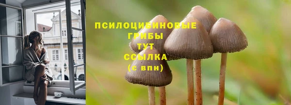 круглые Алексеевка